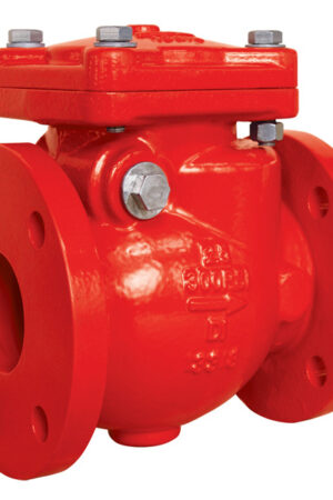 Check Valve | One-Way Flow Control Valve for Water, Plumbing & Fire Protection